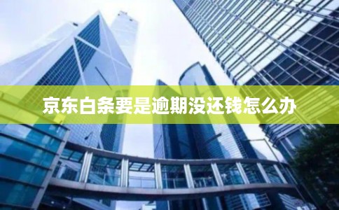 京东白条要是逾期没还钱怎么办 京东白条要是逾期没还钱怎么办