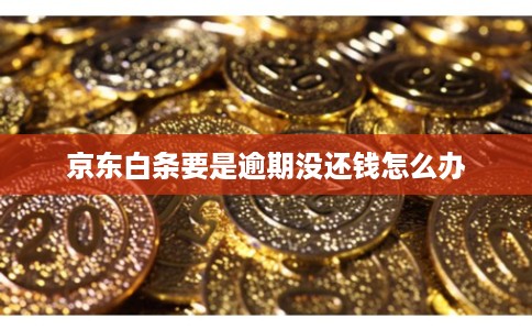 京东白条要是逾期没还钱怎么办 京东白条要是逾期没还钱怎么办