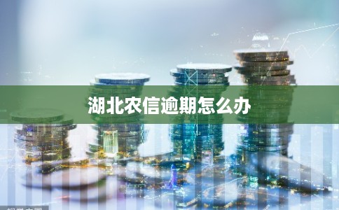 湖北农信逾期怎么办
