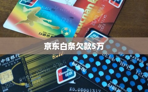 京东白条欠款5万