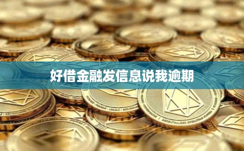 好借金融发信息说我逾期