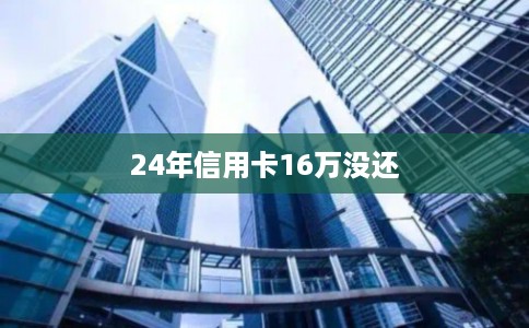 24年信用卡16万没还
