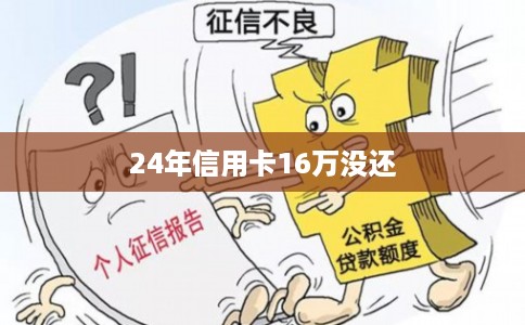 24年信用卡16万没还