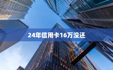 24年信用卡16万没还