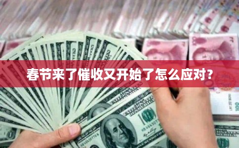 春节来了催收又开始了怎么应对？