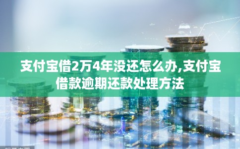 支付宝借2万4年没还怎么办,支付宝借款逾期还款处理方法