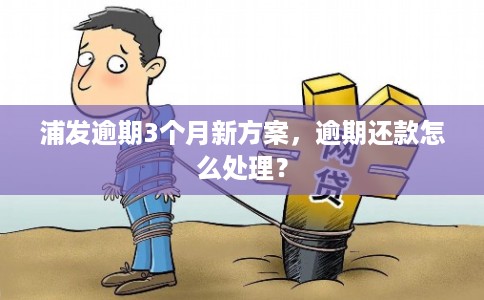 浦发逾期3个月新方案，逾期还款怎么处理？