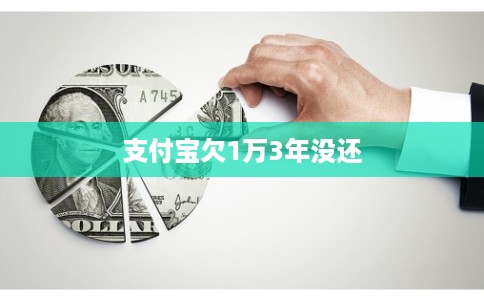 支付宝欠1万3年没还