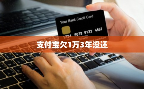 支付宝欠1万3年没还