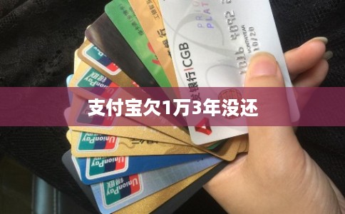 支付宝欠1万3年没还