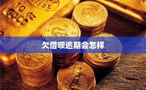 欠借呗逾期会怎样 欠借呗逾期会怎样