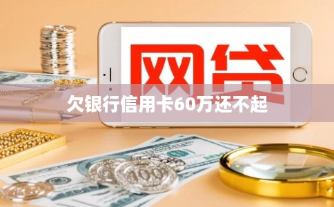 欠银行信用卡60万还不起