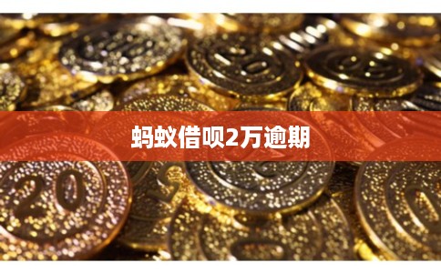 蚂蚁借呗2万逾期