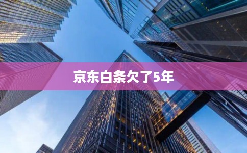 京东白条欠了5年 京东白条欠了5年