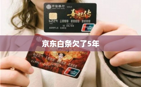 京东白条欠了5年 京东白条欠了5年