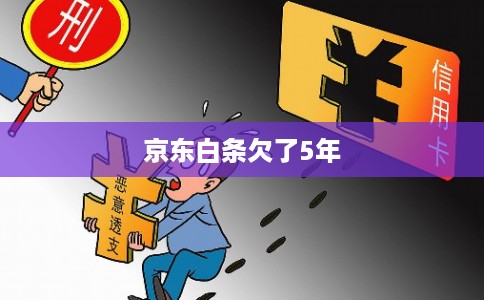 京东白条欠了5年