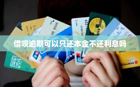 借呗逾期可以只还本金不还利息吗