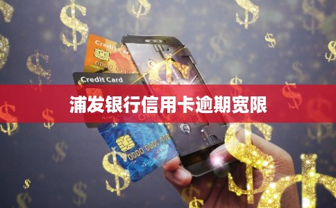 浦发银行信用卡逾期宽限