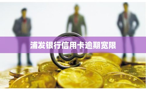 浦发银行信用卡逾期宽限