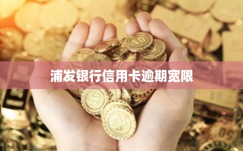 浦发银行信用卡逾期宽限