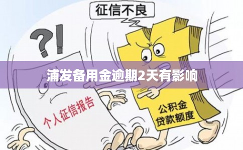 浦发备用金逾期2天有影响