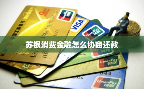 苏银消费金融怎么协商还款 苏银消费金融怎么协商还款