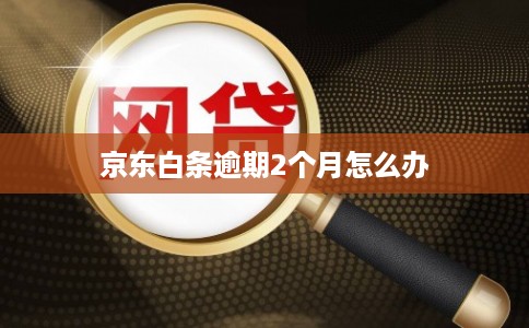 京东白条逾期2个月怎么办 京东白条逾期2个月怎么办