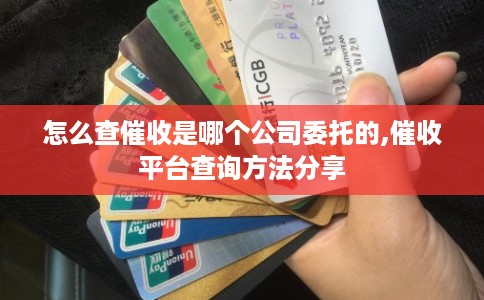 怎么查催收是哪个公司委托的,催收平台查询方法分享