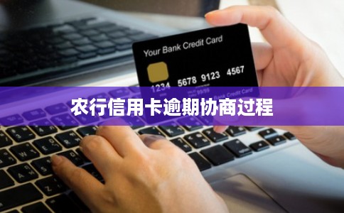 农行信用卡逾期协商过程 农行信用卡逾期协商过程
