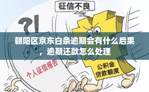 朝阳区京东白条逾期会有什么后果，逾期还款怎么处理