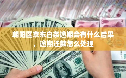 朝阳区京东白条逾期会有什么后果，逾期还款怎么处理
