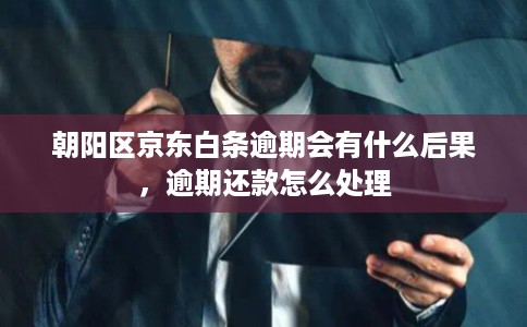 朝阳区京东白条逾期会有什么后果，逾期还款怎么处理