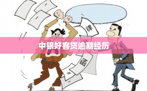 中银好客贷逾期经历