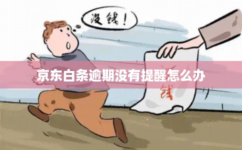 京东白条逾期没有提醒怎么办