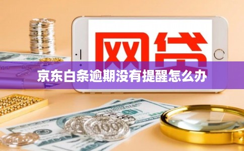 京东白条逾期没有提醒怎么办