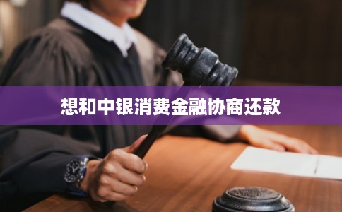 想和中银消费金融协商还款