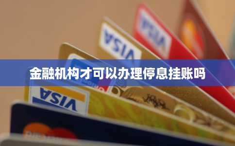 金融机构才可以办理停息挂账吗