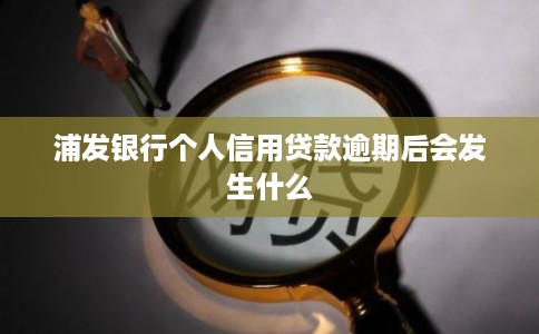 浦发银行个人信用贷款逾期后会发生什么