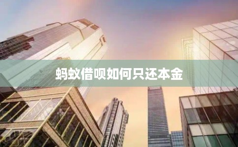 蚂蚁借呗如何只还本金