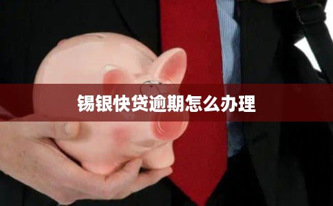 锡银快贷逾期怎么办理