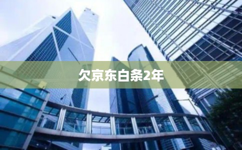 欠京东白条2年 欠京东白条2年