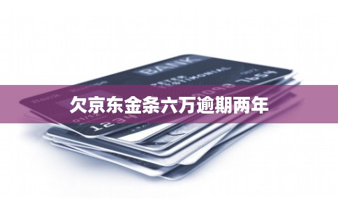 欠京东金条六万逾期两年