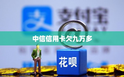 中信信用卡欠九万多