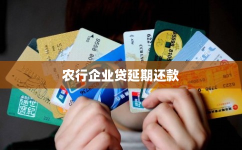 农行企业贷延期还款