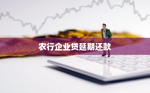 农行企业贷延期还款
