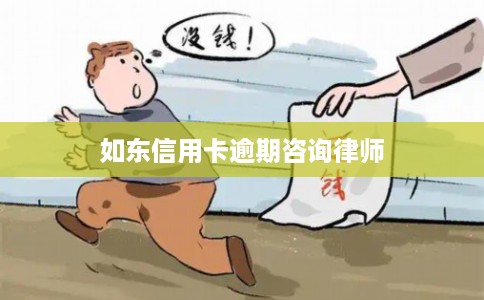 如东信用卡逾期咨询律师