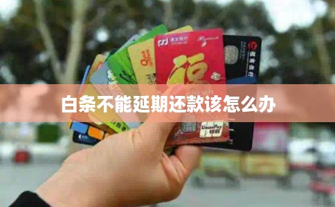 白条不能延期还款该怎么办 白条不能延期还款该怎么办