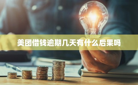 美团借钱逾期几天有什么后果吗