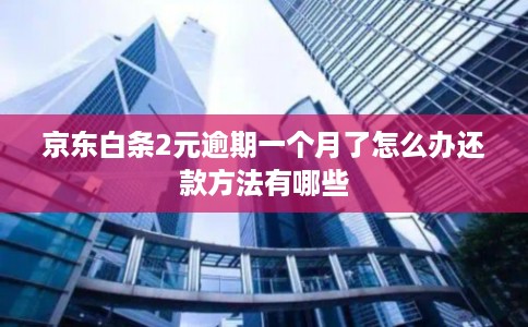 京东白条2元逾期一个月了怎么办还款方法有哪些 京东白条2元逾期一个月了怎么办还款方法有哪些