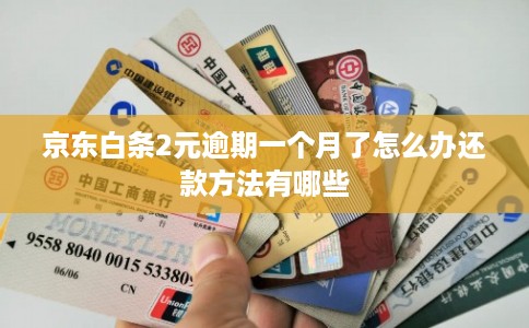 京东白条2元逾期一个月了怎么办还款方法有哪些 京东白条2元逾期一个月了怎么办还款方法有哪些